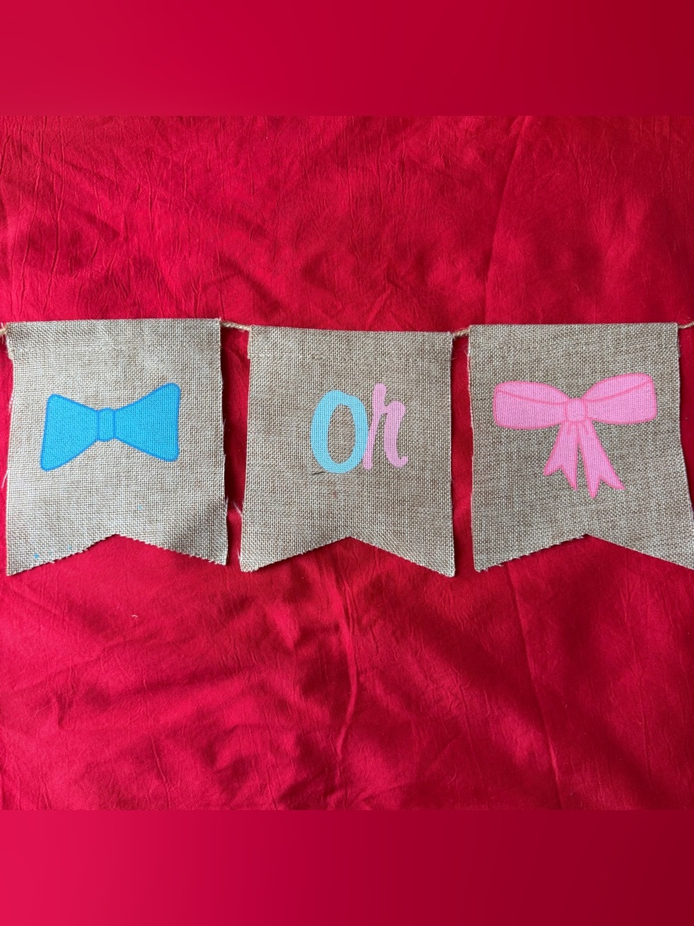 Burlap Gender Reveal Banner with Pink and Blue Accents